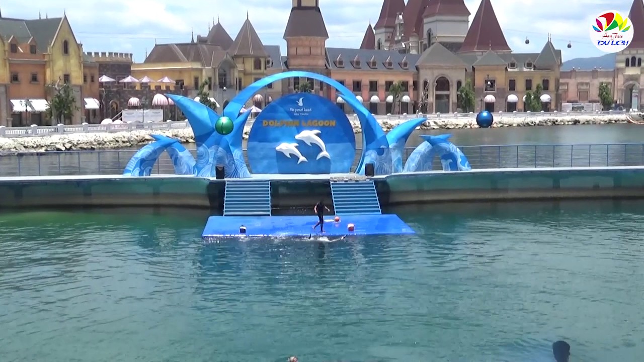 Biểu diễn cá heo VinWonders Nha Trang